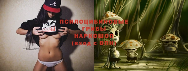 apvp Елабуга